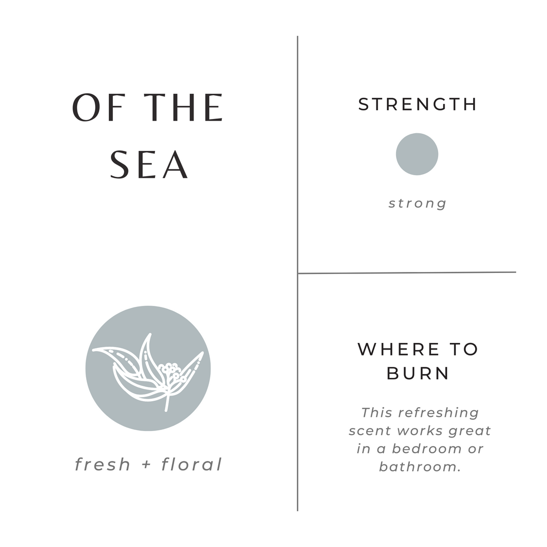 Of The Sea | Eucalyptus + Lavender + Peppermint