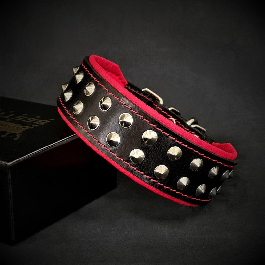 "Boston" Collar