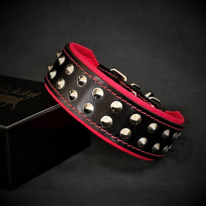 "Boston" Collar