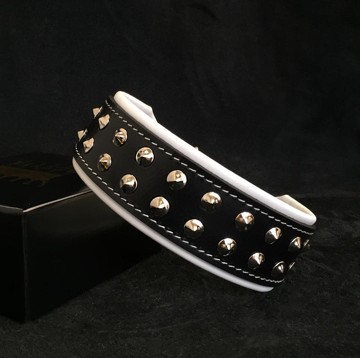 "Boston" Collar