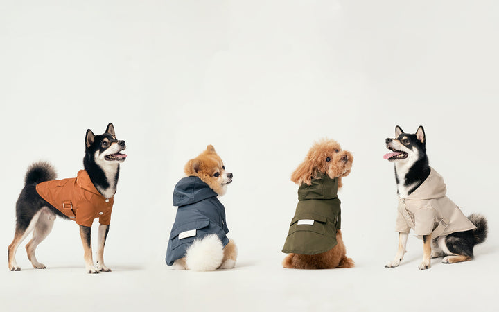 Bowery Raincoat - Green