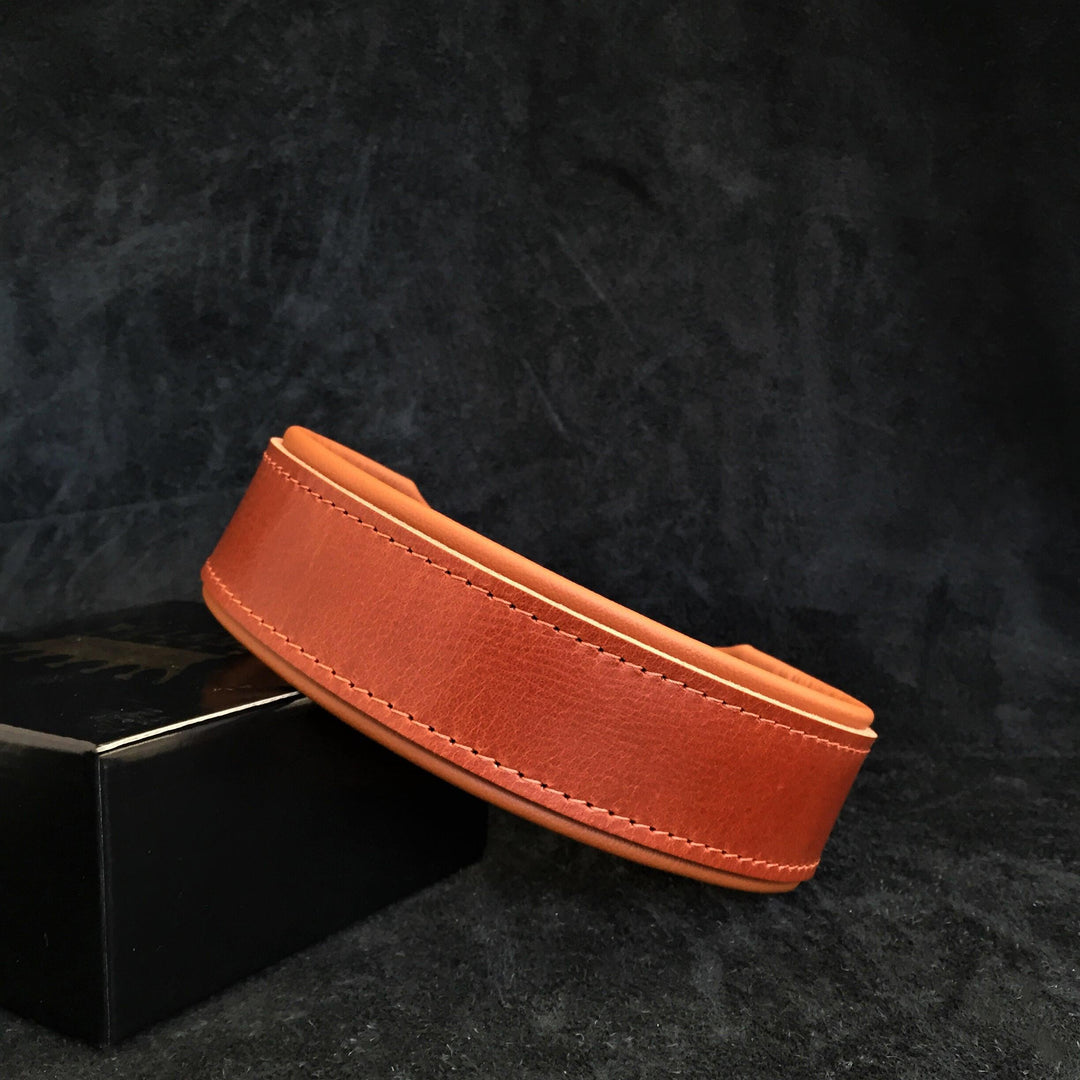 "Stylish" 2 Inch Wide Dog Collar