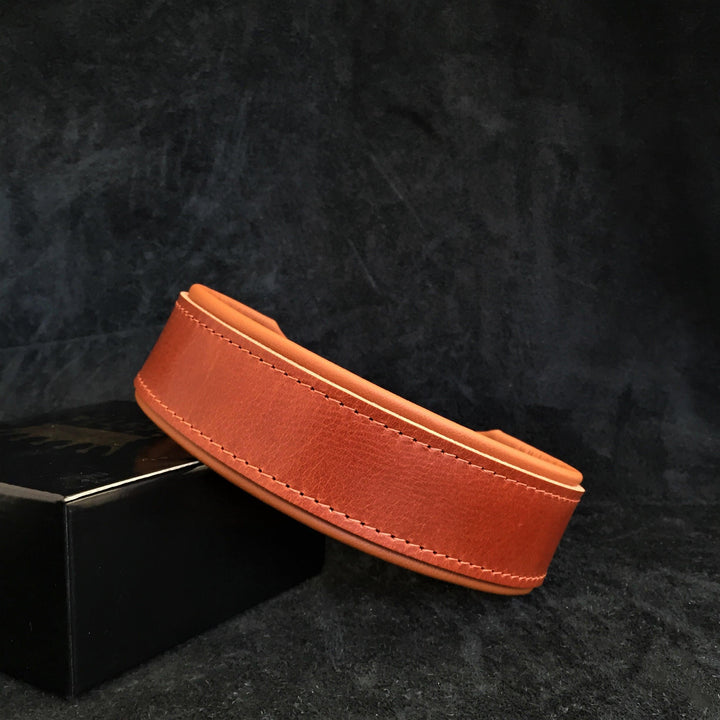 "Stylish" 2 Inch Wide Dog Collar
