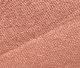 Lee Linen Shorts