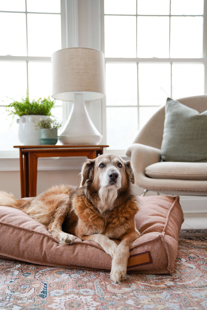 Lounger Pet Bed - Pittie Pink